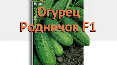 Семена САДОВИТА Огурец Родничок 10 семечек 00183588 - выгодная цена,  отзывы, характеристики, фото - купить в Москве и РФ
