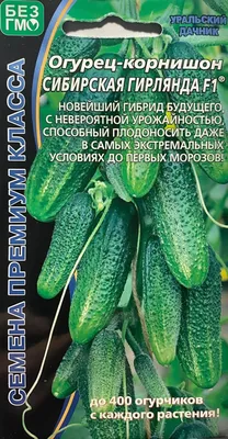 Огурцы Проверенные семена Сибирская гирлянда - купить по выгодным ценам в  интернет-магазине OZON (301701394)