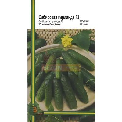 Семена Огурец \"Сибирская Гирлянда F1\" купить по цене 129 ₽ в  интернет-магазине KazanExpress