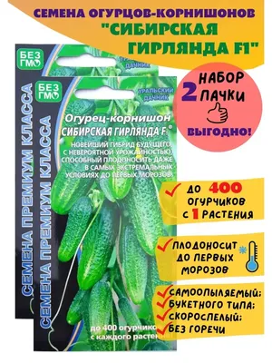 Купить семена почтой Минск
