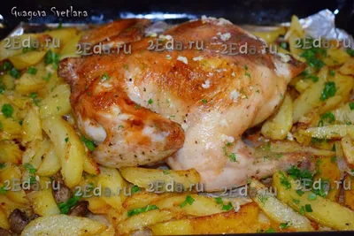 Индейка с картошкой в духовке: рецепты запекания филе
