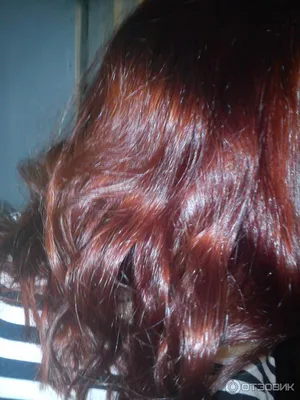 Дуа Липу раскритиковали из-за нового цвета волос: фото | Новости  шоу-бизнеса — Гламур