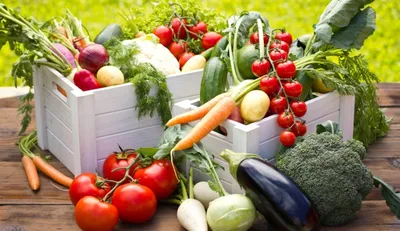 Что будет, если месяц есть только овощи и фрукты? | TEREKHIN | Дзен