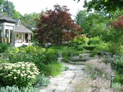 Естественное природное озеленение загородного дома - открытый ландшафт сада.  | Дачная жизнь | Дзен