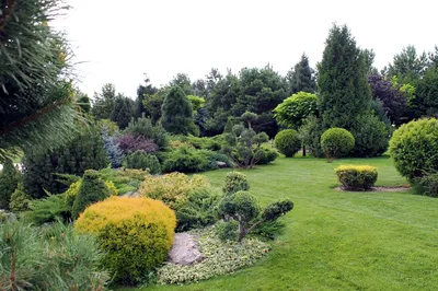 Вертикальное озеленение сада и дома | Блог GreenMarket