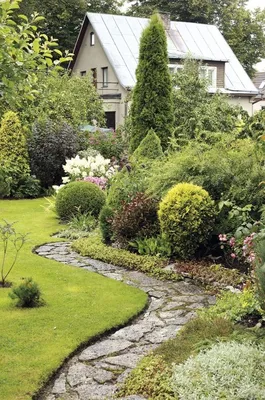 Ландшафтный дизайн. Мой сад. — Фото | OK.RU | Дизайн озеленение, Летние  растения, Дизайн сада