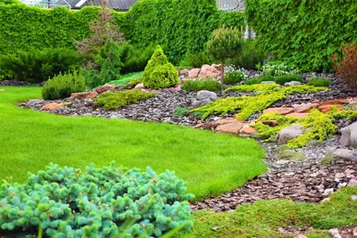 Ландшафтный дизайн, в жилом доме Красивый озеленение в домашнем саду  Панорамный вид на заднем дворе сада в ницце Редакционное Фотография -  изображение насчитывающей озеленение, хвоя: 169060377