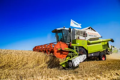 Отзывы реальных аграриев: озимая пшеница