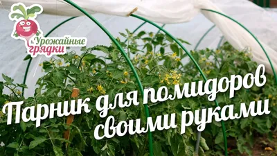 Парник для помидоров своими руками #urozhainye_gryadki - YouTube