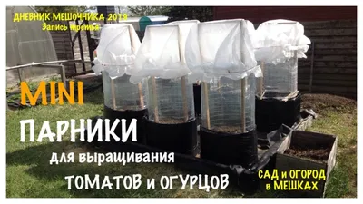Теплица для огурцов, цена в Краснодаре от компании КОМПАНИЯ ТЕПЛИЦ