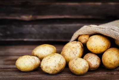 Обыкновенная парша картофеля | 12.05.2023 | Новости Уфы - БезФормата