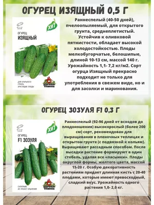 Купить семена Огурец Берлиоз F1 — от НПО Сады Росcии