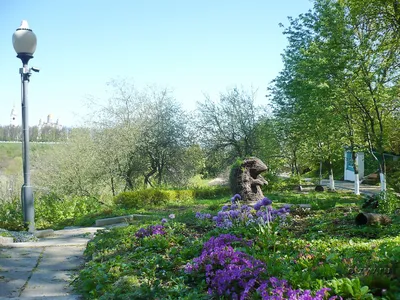 Патриаршие сады, Владимир - «Красивый сад с платным входом» | отзывы