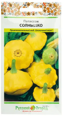 Патиссон Белый Диск – купить семена в интернет-магазине Лафа с доставкой по  Москве, Московской области и России