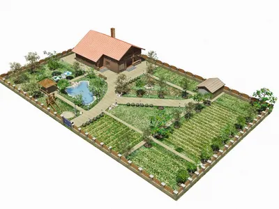 Плодовый сад на участке: схемы посадки и совмещение фруктовых деревьев