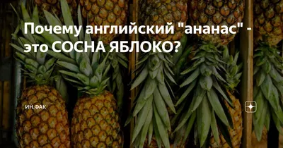 На юге Челябинской области запретили собирать грибы и ягоды - МК Челябинск