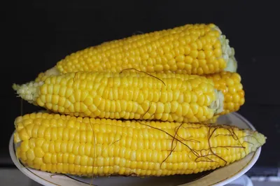 Варёный початок кукурузы на …» — создано в Шедевруме