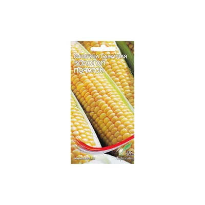 Початок кукурузы близко» — создано в Шедевруме