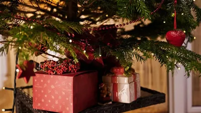 рождественские елки и подарки PNG , рождество, праздничный день, задний  план PNG картинки и пнг PSD рисунок для бесплатной загрузки