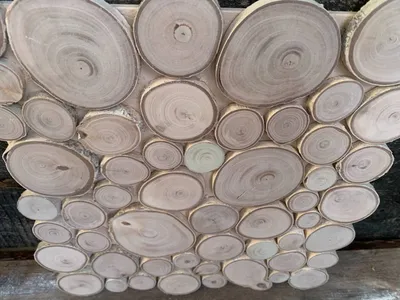 Пни березы деревянные для украшения ландшафта в парке Стоковое Фото -  изображение насчитывающей индустрия, часть: 76236920