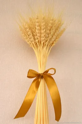 Красивые букеты из пшеницы - 65 фото