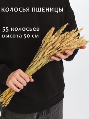Венок колосья пшеницы. поделки из эко материала | Премиум Фото