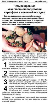 Четыре правила подготовки картофеля к весенней посадке | Garden