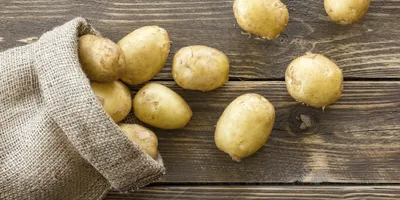 🌱 Как посадить ранний картофель и получить хороший урожай
