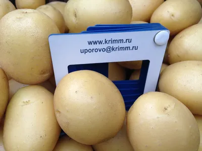 Выращивание картофеля под соломой - Agro-Market