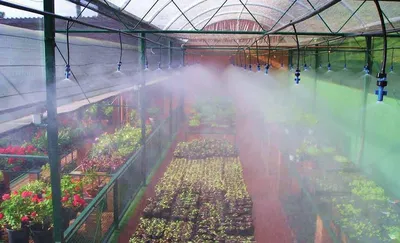 Набор капельного полива в теплице ВОДОМЕРКА на 40 растений с автоматическим  контроллером - купить в Москве, цены на Мегамаркет