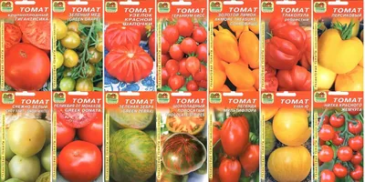 Реликтовые томаты от агрофирмы \"Наш сад\" - новинки! - Интернет-магазин  «СЕМЕНА ТУТ»
