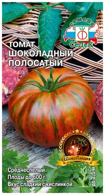 Томаты - украшения Полосатые или пестрые томаты могут стать украшением... |  Интересный контент в группе Счастливый сад