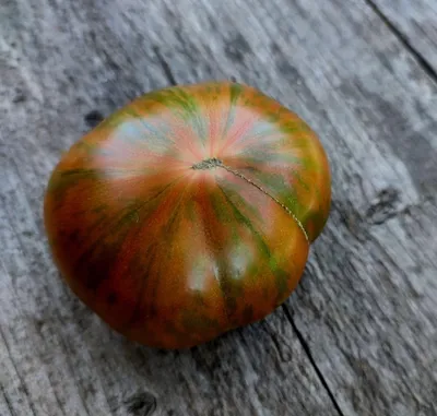 Семена томатов Yellow Taste Tomato(Вкус помидора жёлтый), США - Сортовые  семена Mr.Pomidor