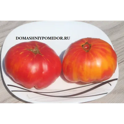Экспертиза томатов: выбрали лучшие помидоры из тех, что продают в магазинах