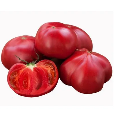 Нарезанный помидор на белом фоне Stock Photo | Adobe Stock