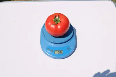 Сортировочная машина для помидоров | Aweta