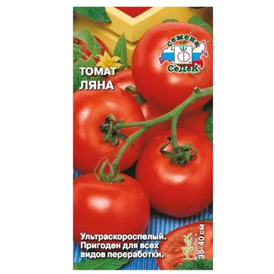 Семена томата Ляна, 30 шт | Семена томатов