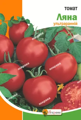 Помидор Ляна 0,1г - семена купить в Киеве, Украине фото, отзывы, описание -  Дачник