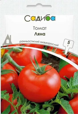 Семена томатов | томат ляна 10 г кустовой ранний, империя семян