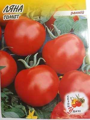 Сорт помидоров Ляна - свои семена - YouTube