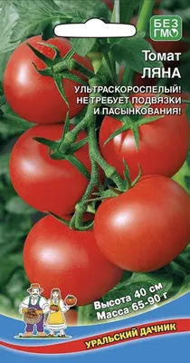 Купить семена томата Ляна |интернет-магазин ogurki.com