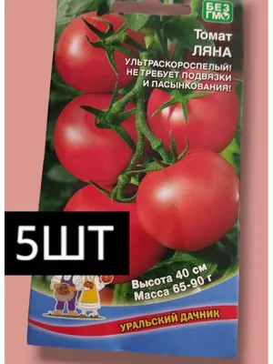 Семена Томат Ляна 0.2 грамма семян Русский Огород — купить в  интернет-магазине по низкой цене на Яндекс Маркете
