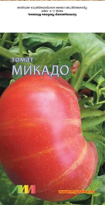 Томат Микадо: вкусный и урожайный | Растения дома | Дзен