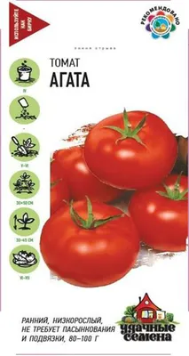 Томаты Агрофирма Аэлита Набор томатов - купить по выгодным ценам в  интернет-магазине OZON (1217960164)