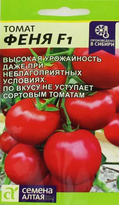 Какие томаты сажать на юге России - YouTube