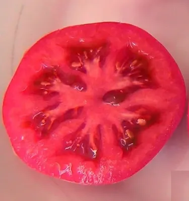 Список ранних сортов помидор