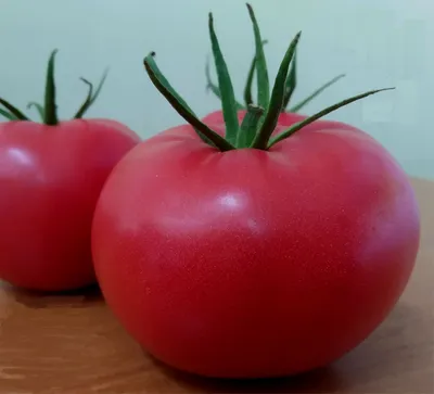 Лучшие низкорослые томаты для теплицы. Выбираем подходящие сорта | Виктория  Радзевская - Дачные секреты | Дзен