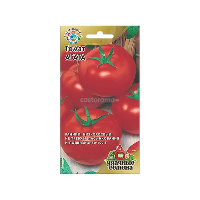 Купить Томат Пинк Агат | Мама Роза F1 (100 семян) • United Genetics Seeds  Co. (США) • Розовый высокорослый урожайный крупноплодный (250-280 г) томат  для теплиц • в Агрошоп5 с доставкой по России • -35463