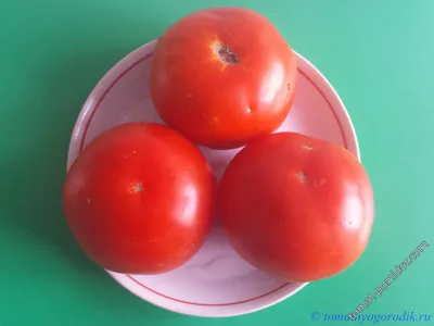 Как вырастить гигантские и сладкие помидоры: советы от агронома Шубиной |  ОБЩЕСТВО | АиФ Новосибирск