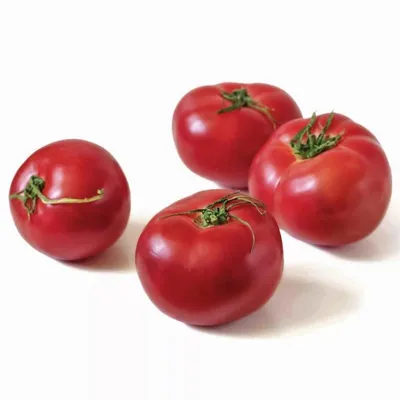 Овощи, помидоры, арбуз, тыква на грубую ткани. Стоковое Фото - изображение  насчитывающей зрело, свеже: 199357474